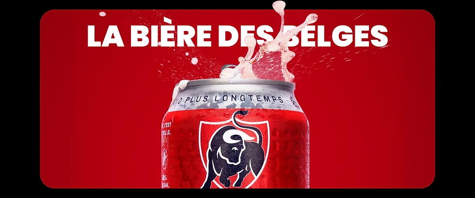 banner-fr (5).png